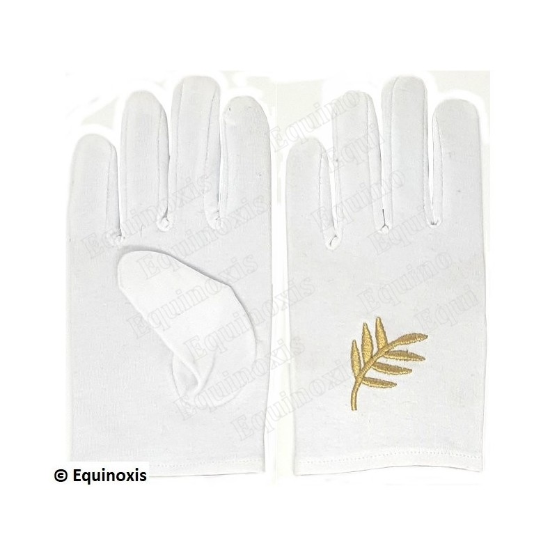 Gants maçonniques coton brodés – Feuille d'acacia – Taille XS