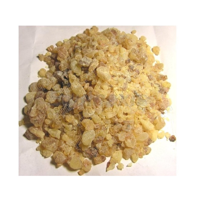 Mastic – 75 g